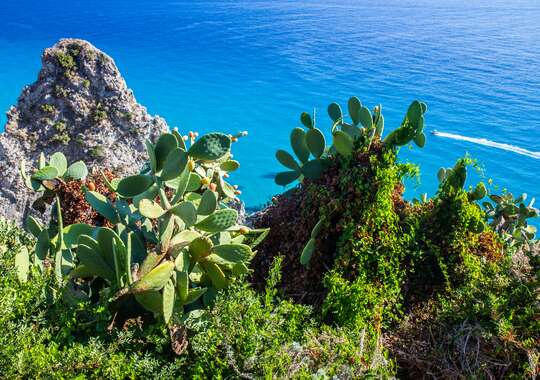 Tropea - kystbyen på klippen