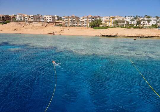 Havtemperature på 22°C 