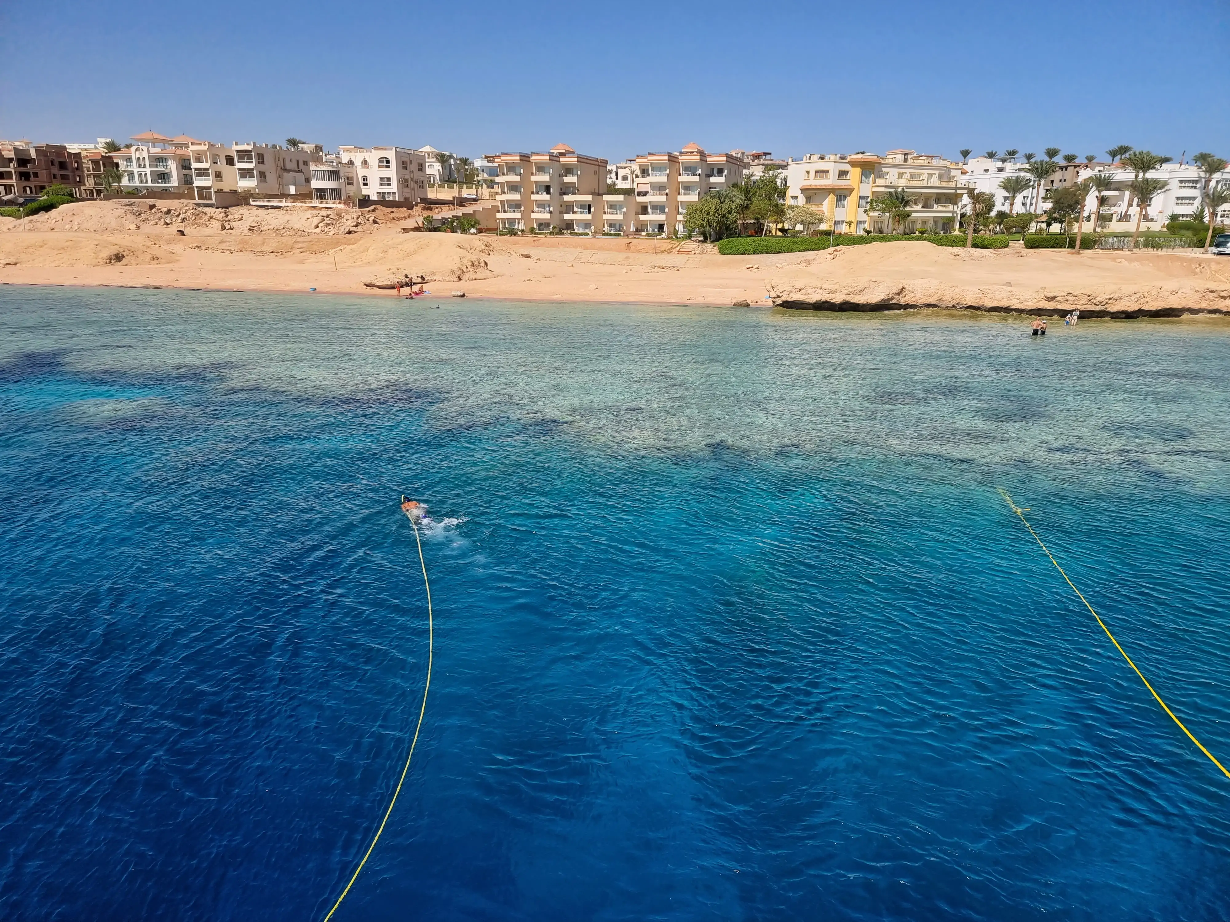 Snorkling i Rødehavet