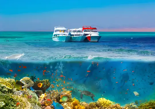 Københavns Dykkerskole 9 Nov.  - Sharm EL Sheikh.