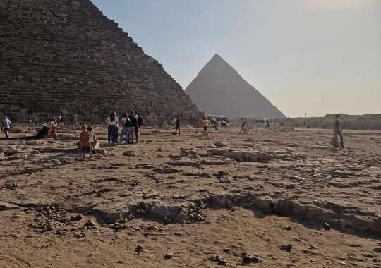 KAIRO MED FLY ELLER BUS