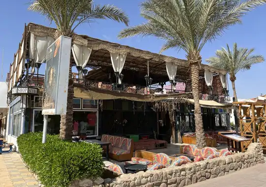 Oplev Fredens By: "Experience the City of Peace"