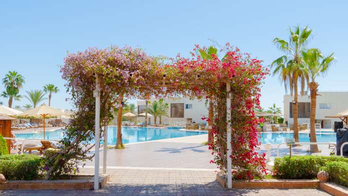 Sharm Reef Hotel - Miniature 11