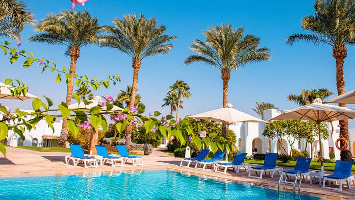 Novotel Palm - Miniature 3