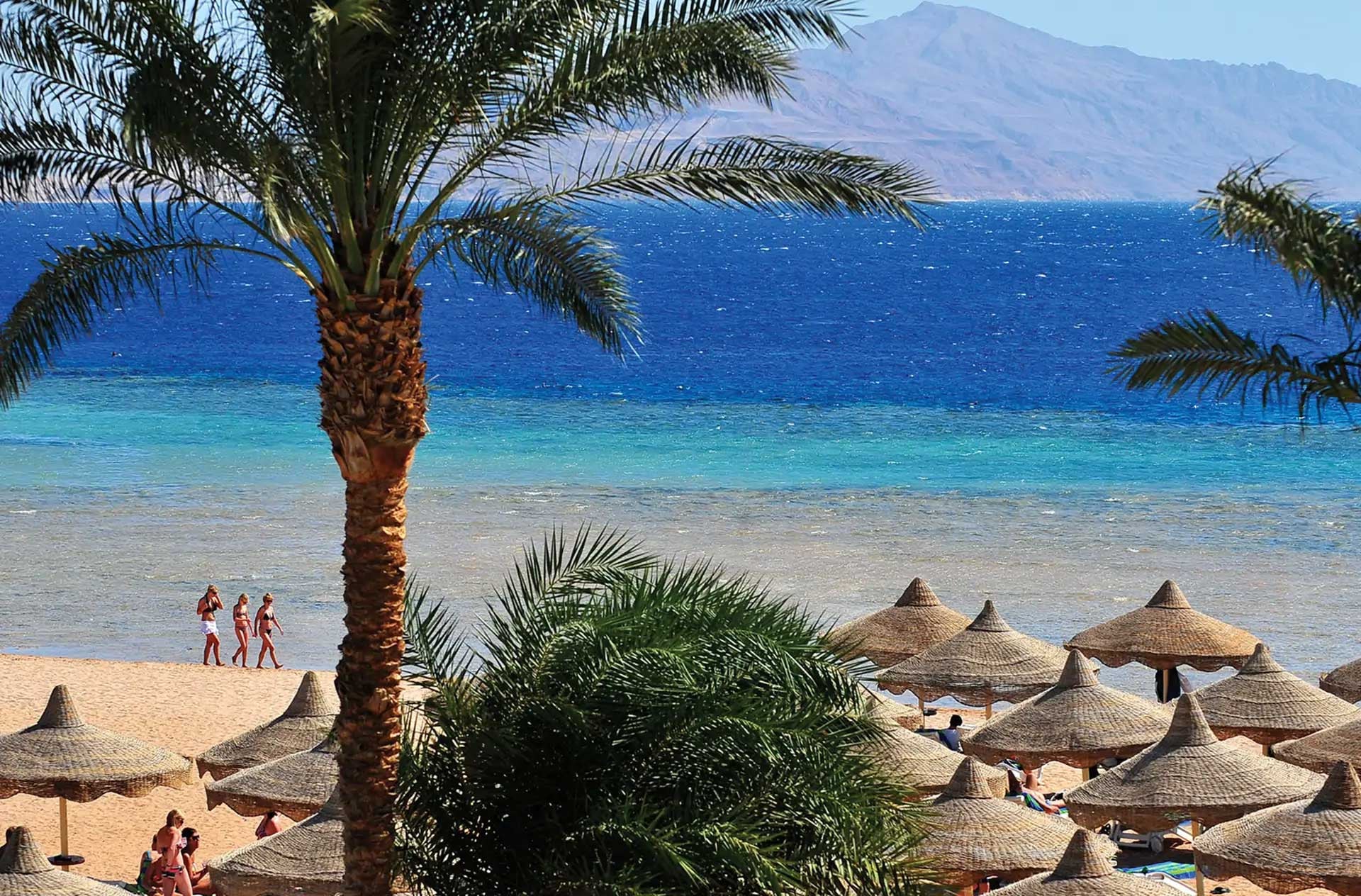 Bo må Baron Palm, spil golf, hold ferie under solen