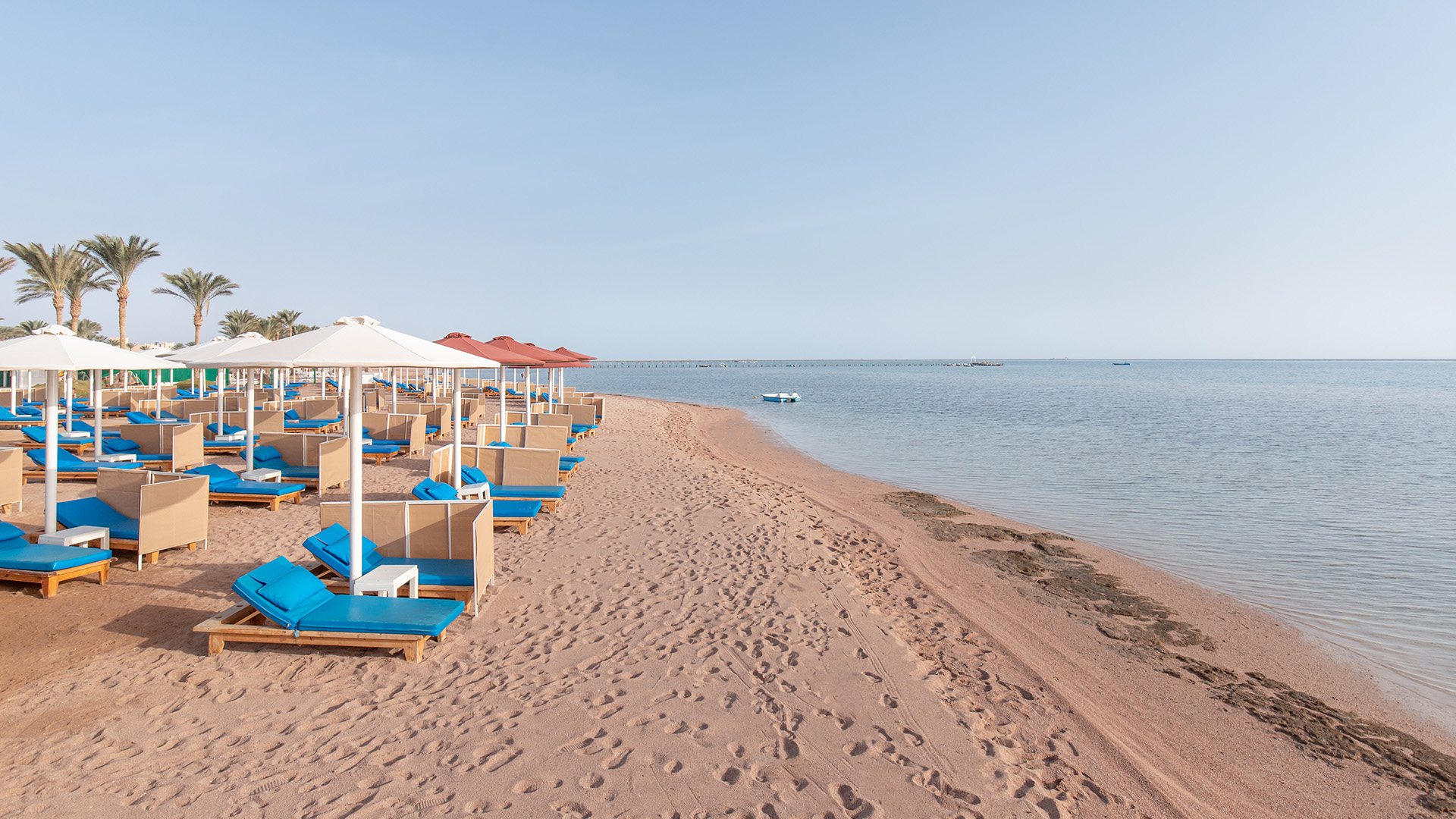 Stranden som deles med søsterhotellet Albatros Laguna Vista