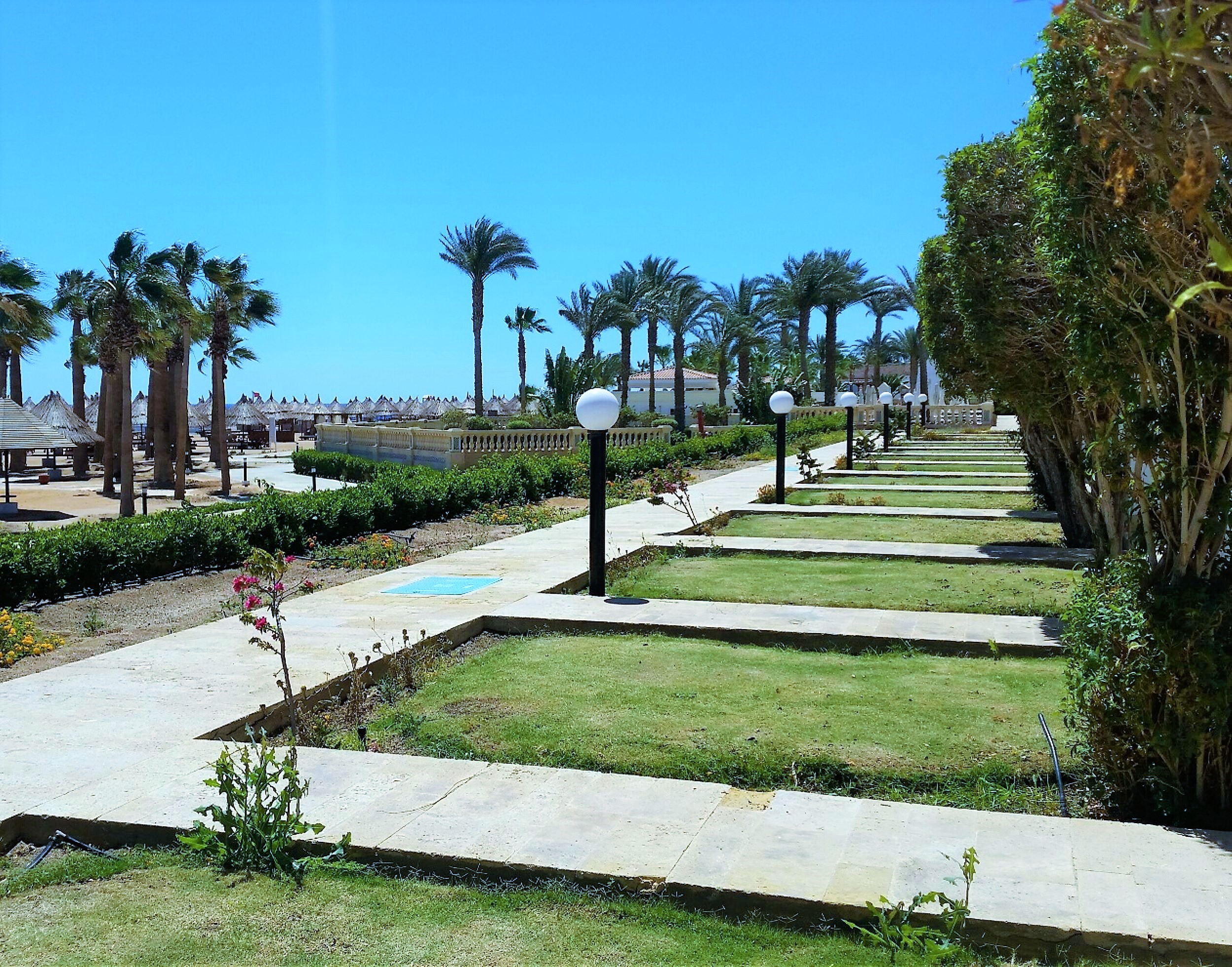 Sheraton Sharm Hotel - Billede 9
